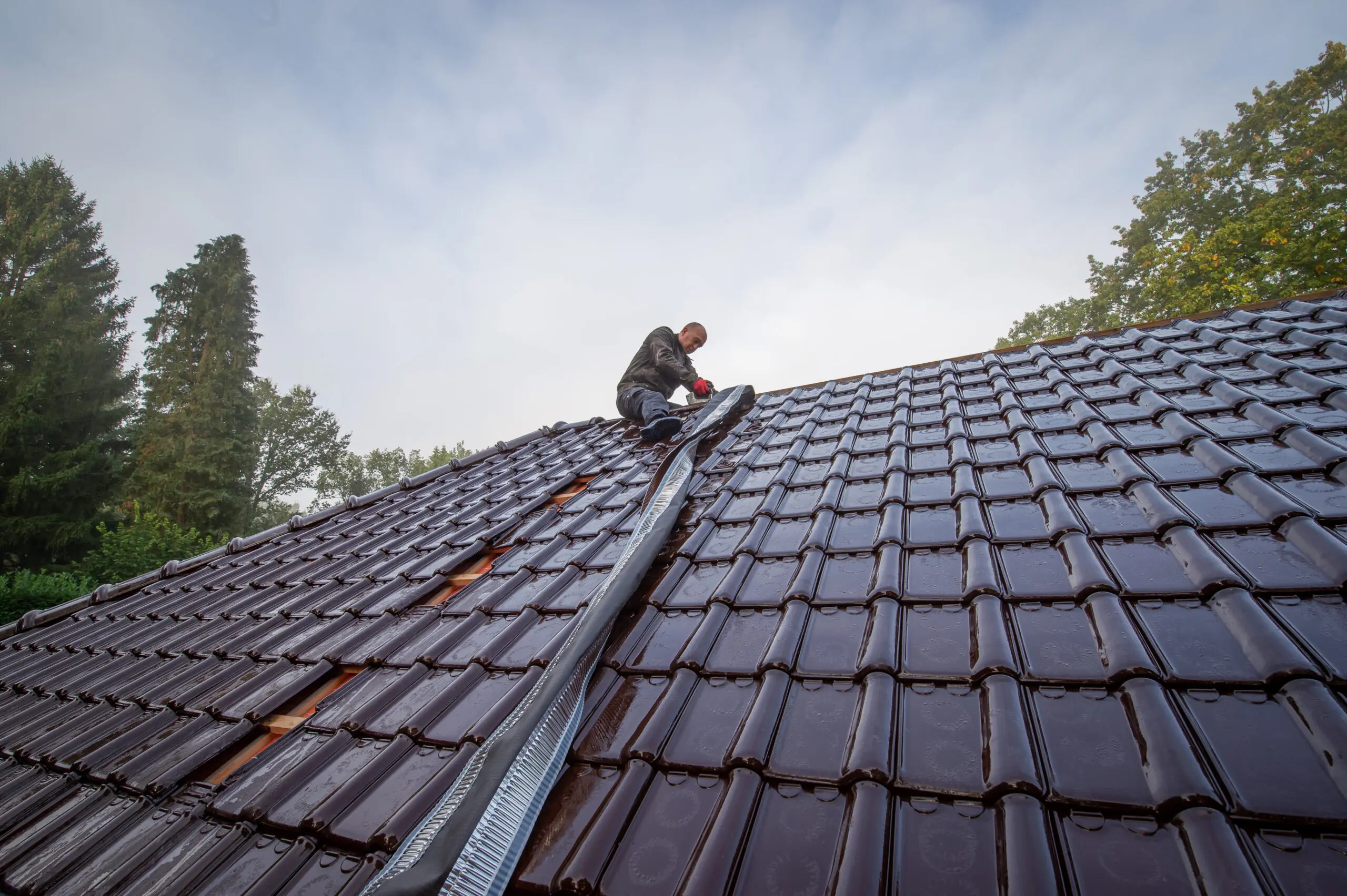 Dakherstelling Bever