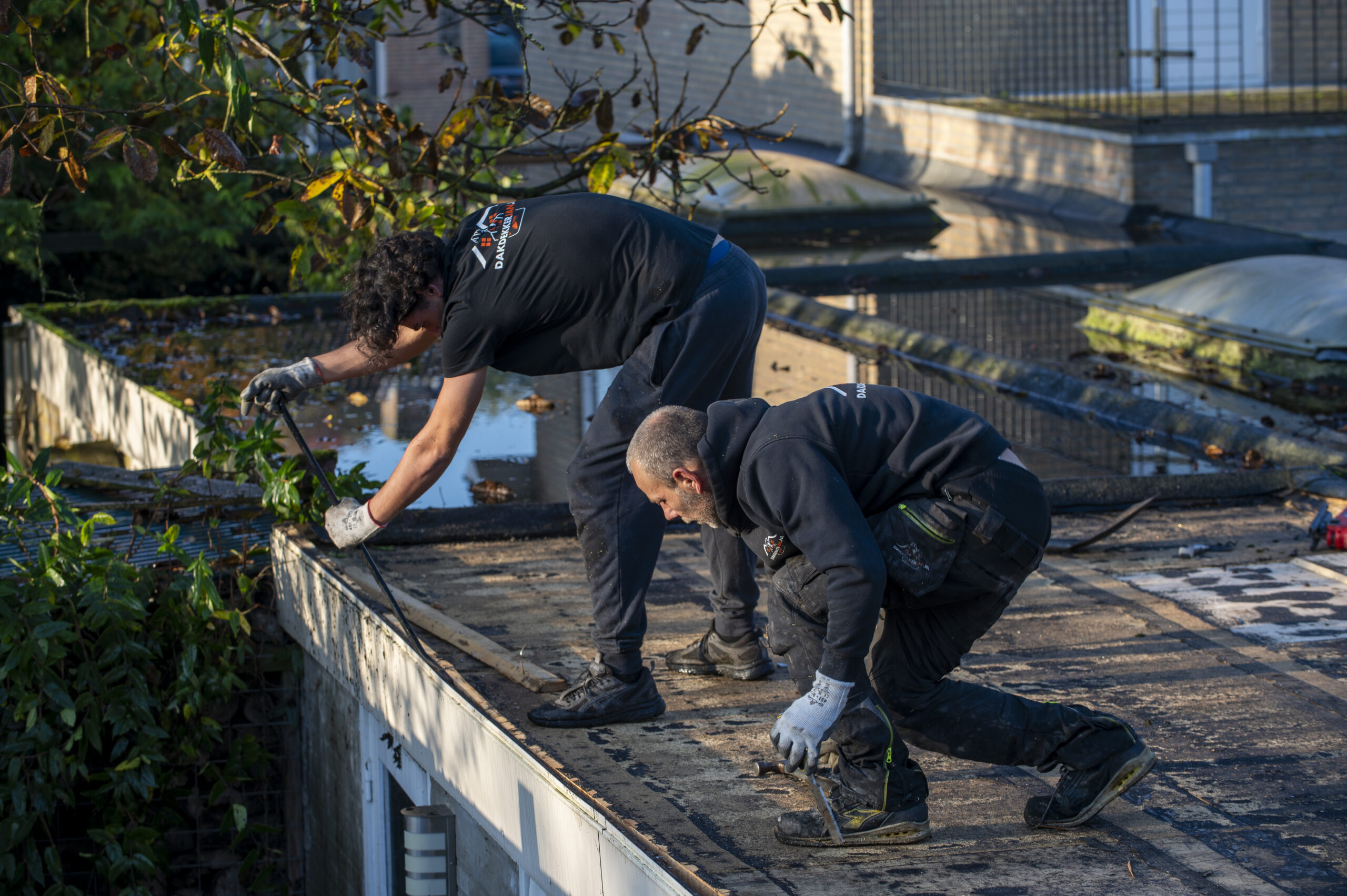 Dakherstelling Zwijndrecht